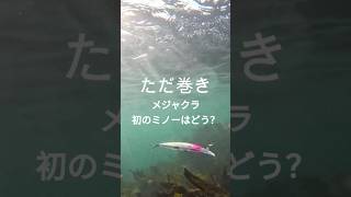メジャークラフト　初プラグ　ミノー　ブレイクバック　 #ショアジギング #fishing