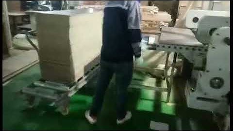 Reignmac woodworking machinery double end tenoner RMD6025M processing MDF wall panel