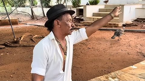 TIRINGA QUER ESTACIONAMENTO PREFERENCIAL NA CHÁCARA | PALPITES (23/02) | LAMPIONS É MULTIBET