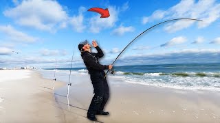 The MONSTROUS Beach Fish I Should Have NEVER Caught!