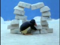 Pingu: Pingu builds an Igloo