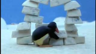 ⁣Pingu: Pingu builds an Igloo