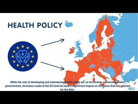 European Union Policy for Dummies