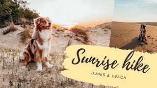 SUNRISE HIKE | Dunes & Beach | Australian Shepherd by LifeWithAussies 3,167 views 3 years ago 3 minutes, 6 seconds