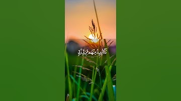 سورة الذاريات(وذكر فإن الذكرى تنفع المؤمنين )