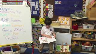 Grice - Kangaroo presentation