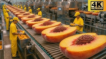 Inside a Modern Peach Factory – From Orchard Harvest to Perfectly Canned Peaches
