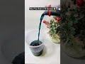 Relax Your Brain In30 Second 🤩 #asmr #bottleasmr #oddlysatisfying #shortvideo #viralshorts