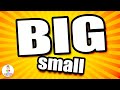 Big and Small - Math for Kids (Compare the Sizes)