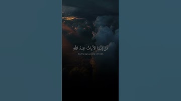 وقالوا لولا أنزل عليه آيات من ربه عبد الرحمن مسعد