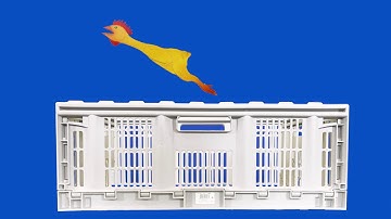 Collapsible Storage Crate