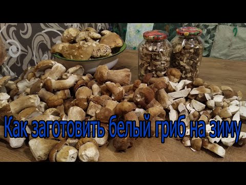 Video: Mushrooms For The Winter: The Secrets Of Proper Drying