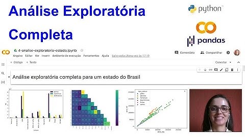 Análise exploratória completa no Python: seleção de dados de seguro rural