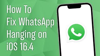 How to Fix WhatsApp Lagging on iOS 16.4 or Later screenshot 5