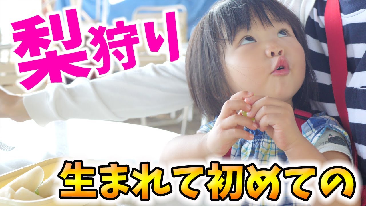 衝撃 梨狩りだと思ってたのに 最後衝撃の発言 感動ありトラブルありの生まれて初めての梨狩り 梨 生後1歳11ヶ月赤ちゃん Nashi Asian Pear Picking Youtube