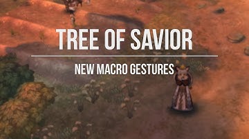 Tree of Savior (iTOS) : New Macro Gestures