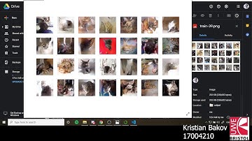 Week 3 - Deep Learning - Texture Generation