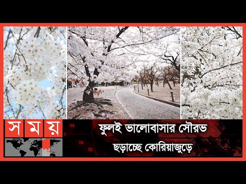 ভিডিও: জাতীয় চেরি ব্লসম ফেস্টিভ্যাল প্যারেড ২০২০