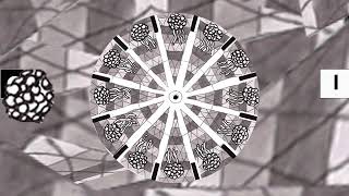 Processing Workshop 3 Phenakistoscope