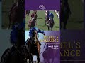 Rebel’s Romance wins the Eclipse Award for Male Turf Horse! Congrats to this #BC22 & #BC24 Champ!