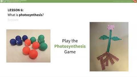 mySci 6 0 U21L6 Summary