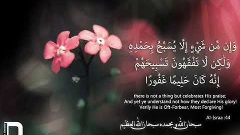 تلاوة خاشعة تحرك الوجدان ، الشيخ إدريس أبكر .