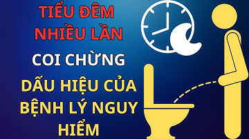 Mỗi đêm dậy đi tiểu 3–4 lần? Coi chừng sức khỏe đang xuống cấp!
