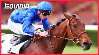 Vidéo de la course PMU PRIX DE FONTAINEBLEAU