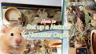 How to Set up a Natural Hamster Cage  Upgrading HAMSTER's German Inspired Enclosure!
