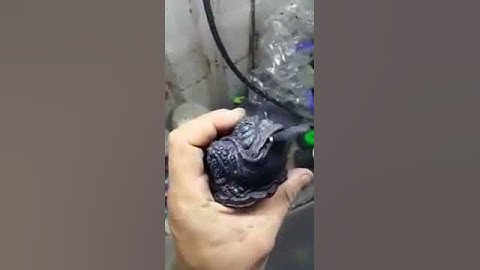 (hermantite)Thiềm thừ phong thủy-hàng độc lạ