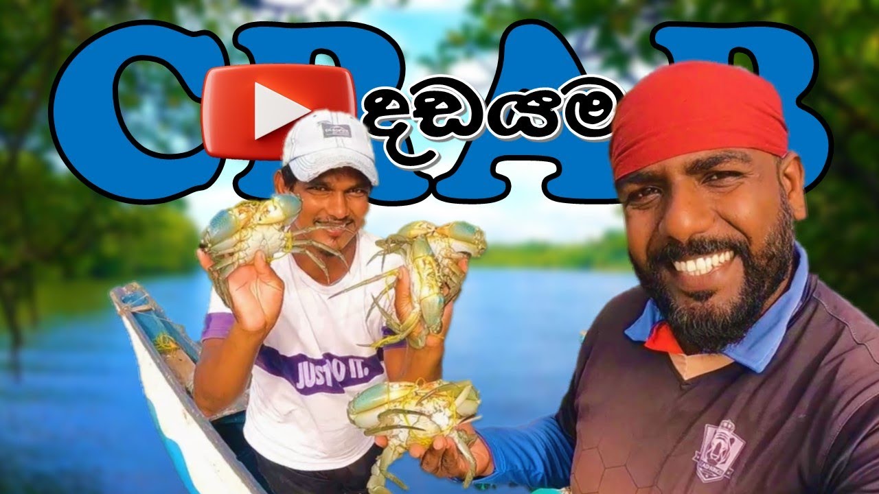 Mud Crab දඩයම ‼ Crab lovers delicacy ‼ @wishwatiyubaya 🦀😋👣