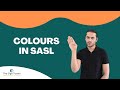 Colours in South African Sign Language | The Sign Tutors