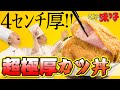 【再現料理】ミスター味っ子 味皇もビックリ 特製超極厚カツ丼 #121