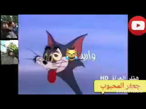 توم وجيري أغنية