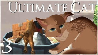 Trashcan Treats & A New Cat!! • Ultimate Cat Simulator  Episode #3
