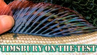 Centerpin Trotting for Grayling and Roach | British Cold Water Fishing
