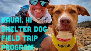 Kauai Humane Society Dog Field Trip Program | Adventures with Rosie the Kauai Shelter Dog!