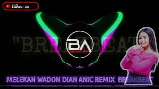 Download lagu REMIX BREAKBEAT MELEKAN WADON DIAN ANIC