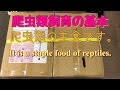 爬虫類の主食です‼︎It is a staple food of reptiles.