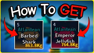 How To Catch Atlantean Barbed Shark And Emperor Jellyfish In Fisch Roblox