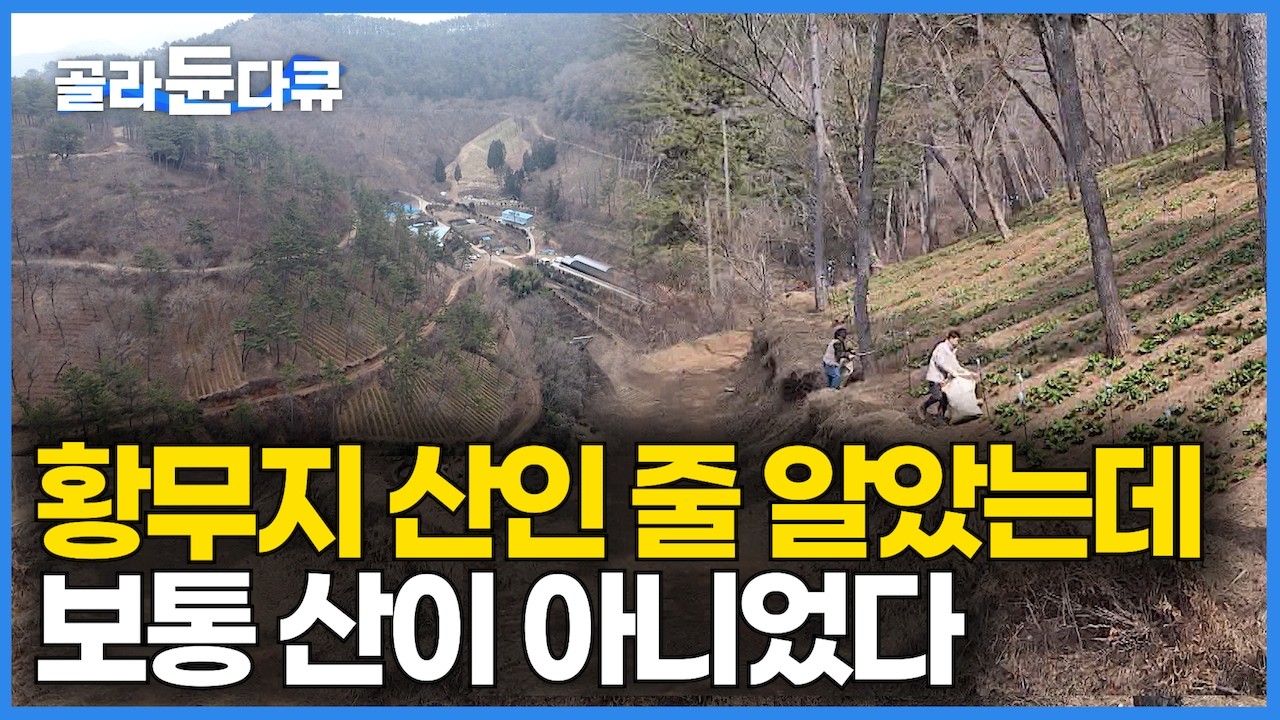 범상치 않은 황무지 산을 알아본 남자. 나이 50에 산 하나 통째로 사서 이걸 심었더니 인생 역전 대박｜사업 접고 농부가 된 남자 스토리｜돈이 자라는 산｜한국기행｜#골라듄다큐