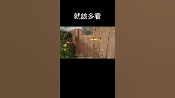 【CODM/決勝時刻M】謝了 #callofduty #cod #codm #codmobile #決勝時刻m #決勝時刻 #決勝時刻m創作者