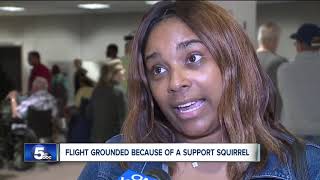 'Emotional support squirrels' on planes not protected by law, attorney says