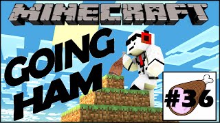 Minecraft | Preparing For The Finale | Oddcraft Going Ham | Ep. 36