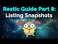 Restic Guide Part 8: Listing Snapshots