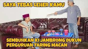 DANG RAJO PREMAN ROY JANGKUNG PERGURUAN TARING MACAN SOK JAGO | dang rajo terbaru