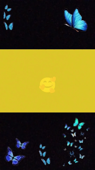4 July 2025