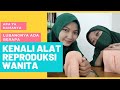 KENALI ALAT REPRODUKSI WANITA ❗