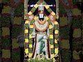 🌺 ஸ்ரீ வெங்கடேசாய நமஃ 🌺 #tirumala #tirupatibalaji #govinda #balaji #venkateswara #shorts #ytshorts