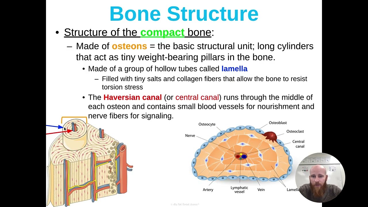 [07] Unit 2, Lesson 2 Presentation